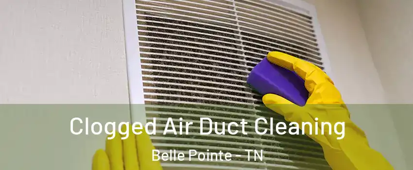 Clogged Air Duct Cleaning Belle Pointe - TN