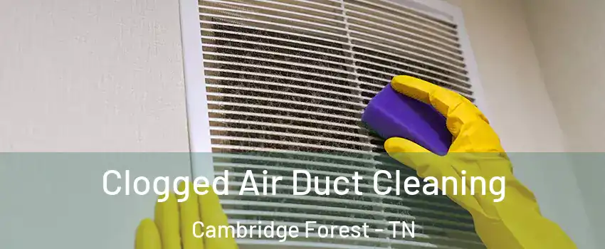 Clogged Air Duct Cleaning Cambridge Forest - TN