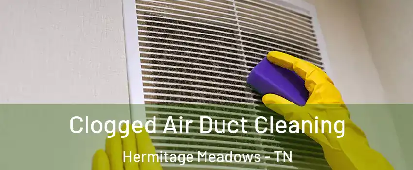 Clogged Air Duct Cleaning Hermitage Meadows - TN