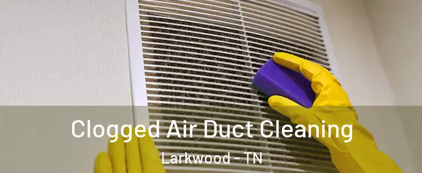 Clogged Air Duct Cleaning Larkwood - TN