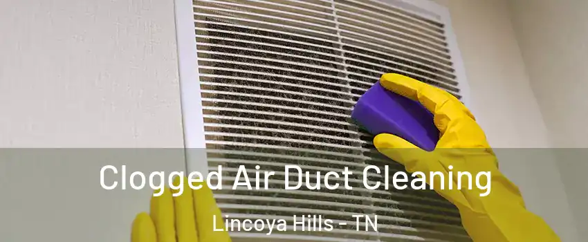 Clogged Air Duct Cleaning Lincoya Hills - TN