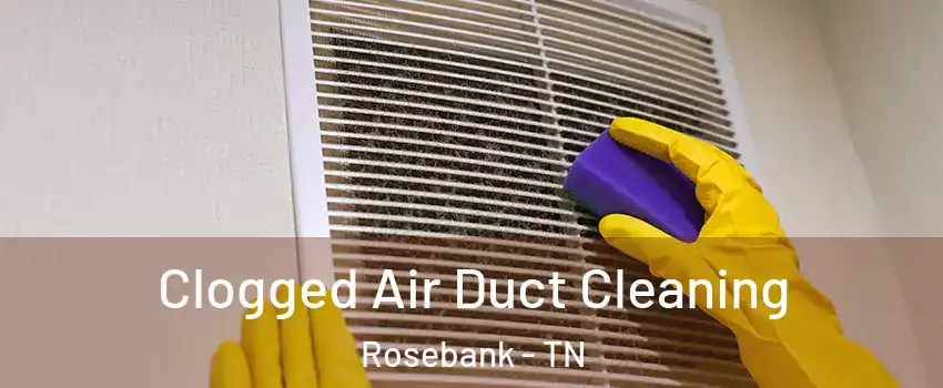 Clogged Air Duct Cleaning Rosebank - TN