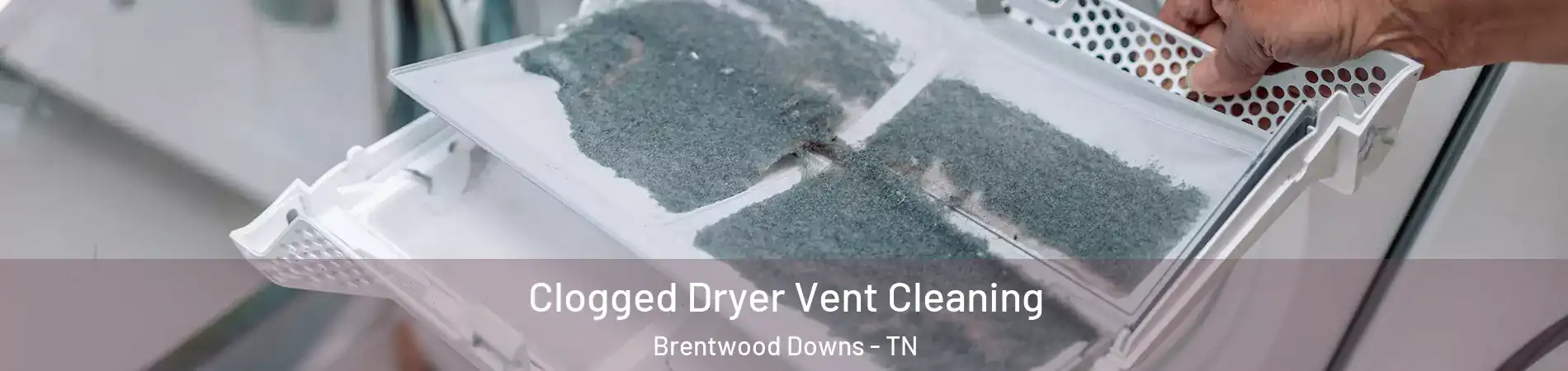 Clogged Dryer Vent Cleaning Brentwood Downs - TN