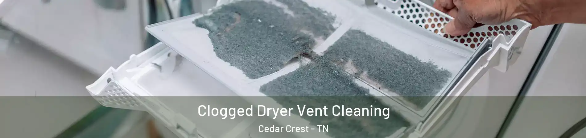 Clogged Dryer Vent Cleaning Cedar Crest - TN