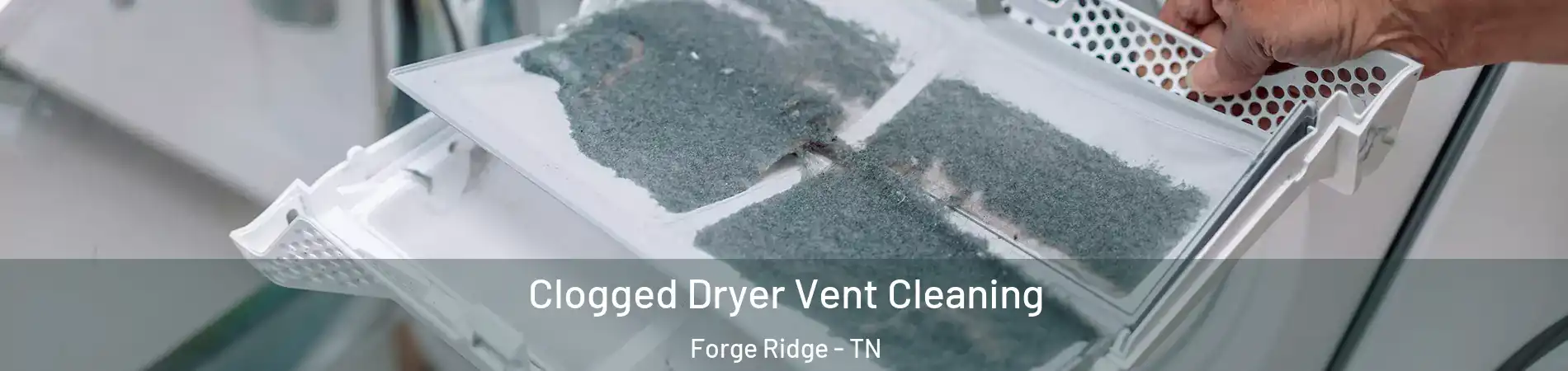 Clogged Dryer Vent Cleaning Forge Ridge - TN