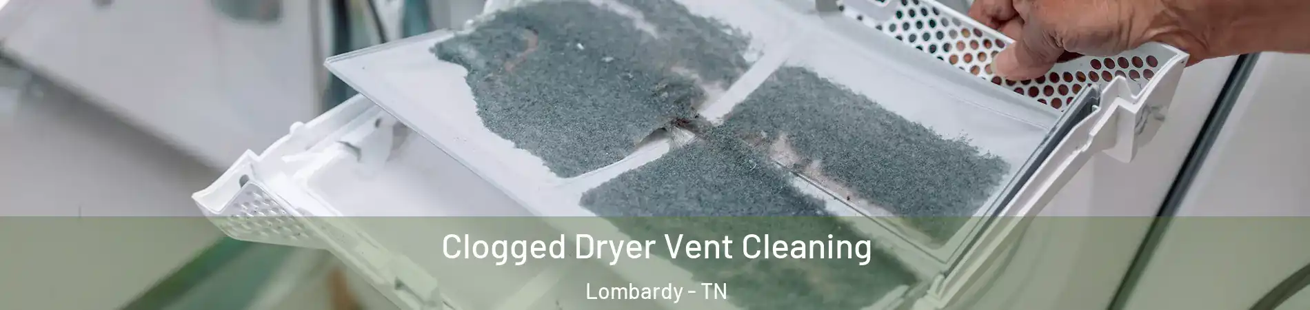 Clogged Dryer Vent Cleaning Lombardy - TN