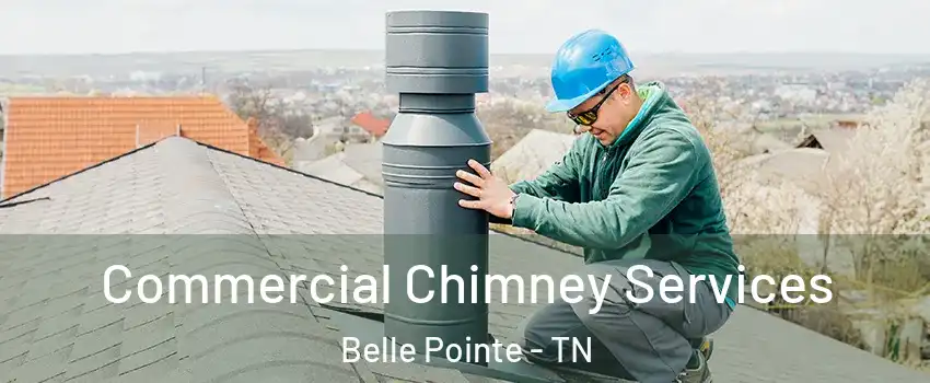 Commercial Chimney Services Belle Pointe - TN