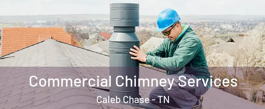 Commercial Chimney Services Caleb Chase - TN