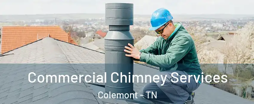 Commercial Chimney Services Colemont - TN