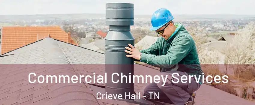 Commercial Chimney Services Crieve Hall - TN