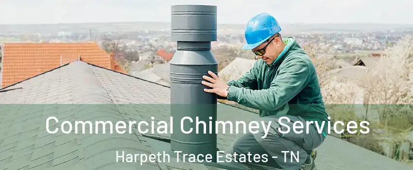 Commercial Chimney Services Harpeth Trace Estates - TN