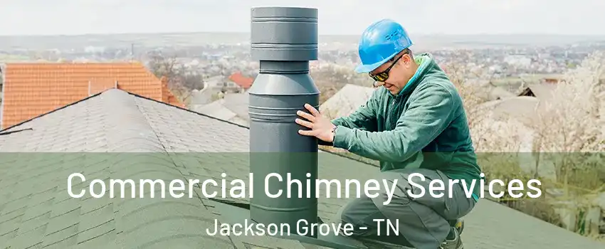 Commercial Chimney Services Jackson Grove - TN