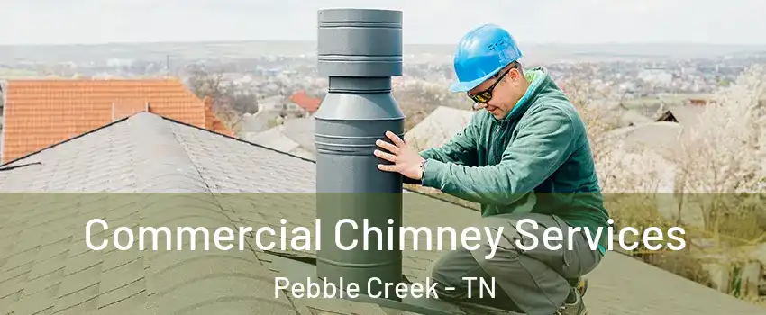 Commercial Chimney Services Pebble Creek - TN