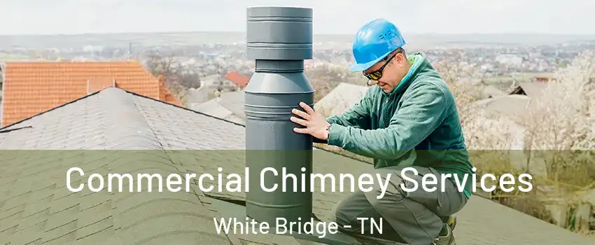 Commercial Chimney Services White Bridge - TN