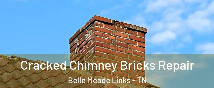 Cracked Chimney Bricks Repair Belle Meade Links - TN