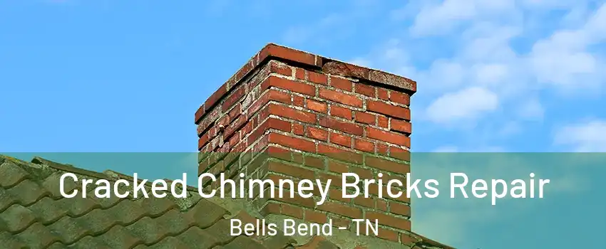 Cracked Chimney Bricks Repair Bells Bend - TN