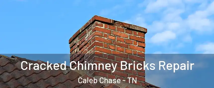 Cracked Chimney Bricks Repair Caleb Chase - TN