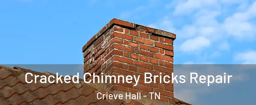 Cracked Chimney Bricks Repair Crieve Hall - TN