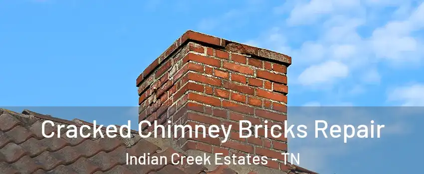 Cracked Chimney Bricks Repair Indian Creek Estates - TN