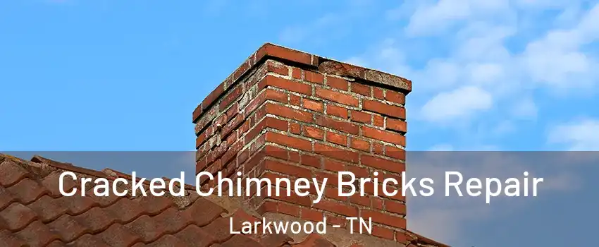 Cracked Chimney Bricks Repair Larkwood - TN