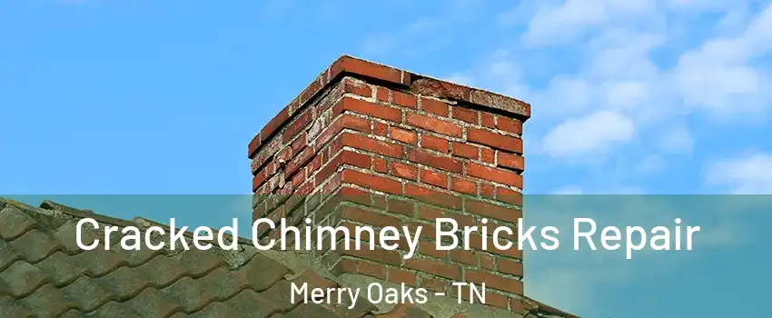 Cracked Chimney Bricks Repair Merry Oaks - TN