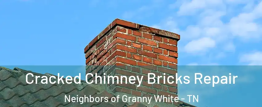 Cracked Chimney Bricks Repair Neighbors of Granny White - TN