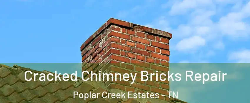 Cracked Chimney Bricks Repair Poplar Creek Estates - TN