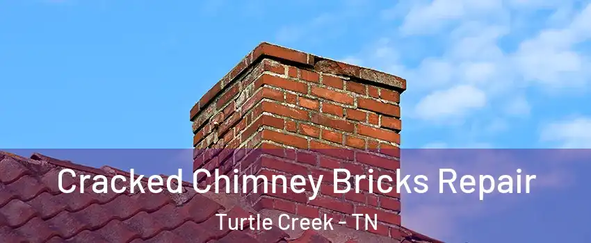 Cracked Chimney Bricks Repair Turtle Creek - TN