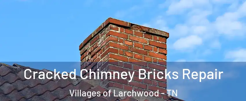 Cracked Chimney Bricks Repair Villages of Larchwood - TN