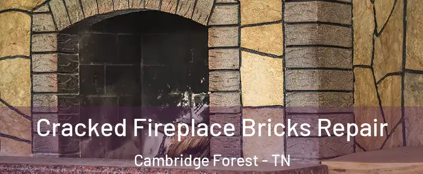 Cracked Fireplace Bricks Repair Cambridge Forest - TN