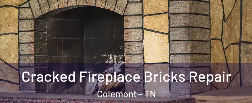 Cracked Fireplace Bricks Repair Colemont - TN