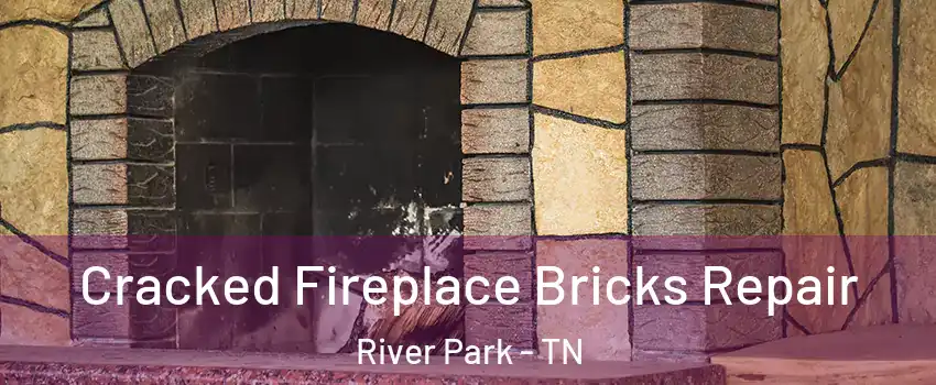 Cracked Fireplace Bricks Repair River Park - TN