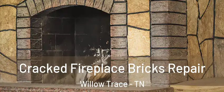 Cracked Fireplace Bricks Repair Willow Trace - TN