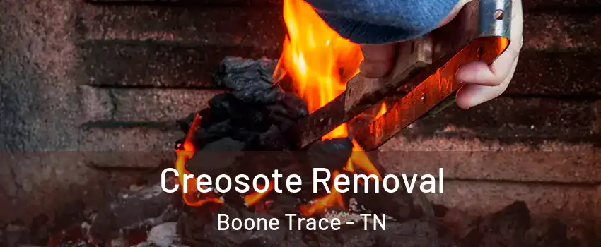 Creosote Removal Boone Trace - TN