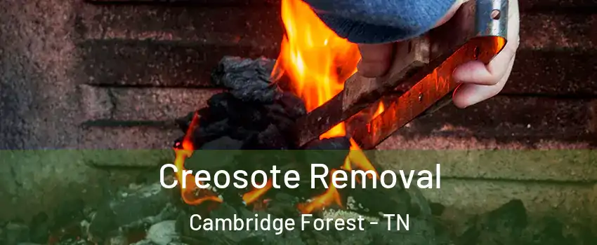 Creosote Removal Cambridge Forest - TN