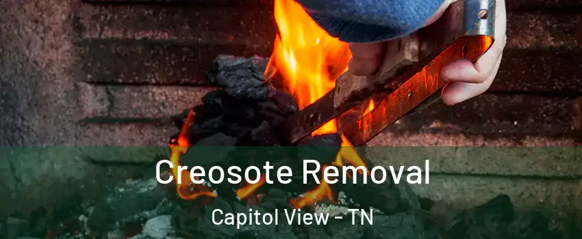 Creosote Removal Capitol View - TN