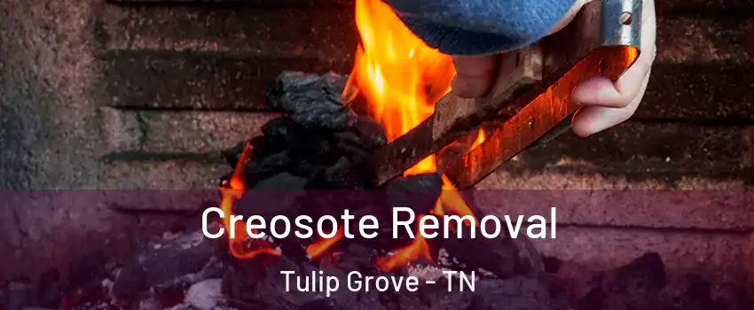 Creosote Removal Tulip Grove - TN