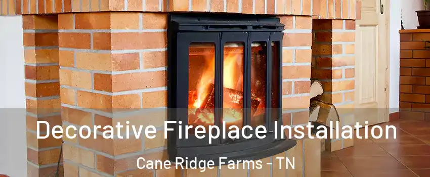 Decorative Fireplace Installation Cane Ridge Farms - TN