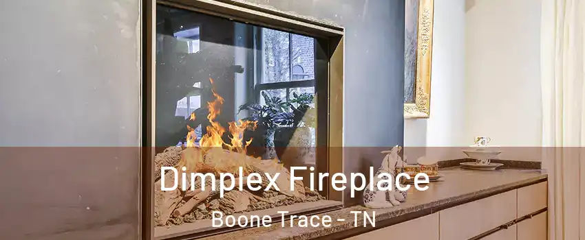 Dimplex Fireplace Boone Trace - TN