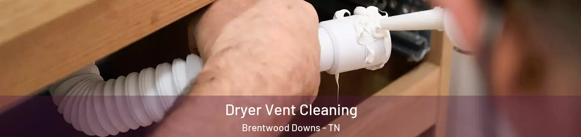 Dryer Vent Cleaning Brentwood Downs - TN