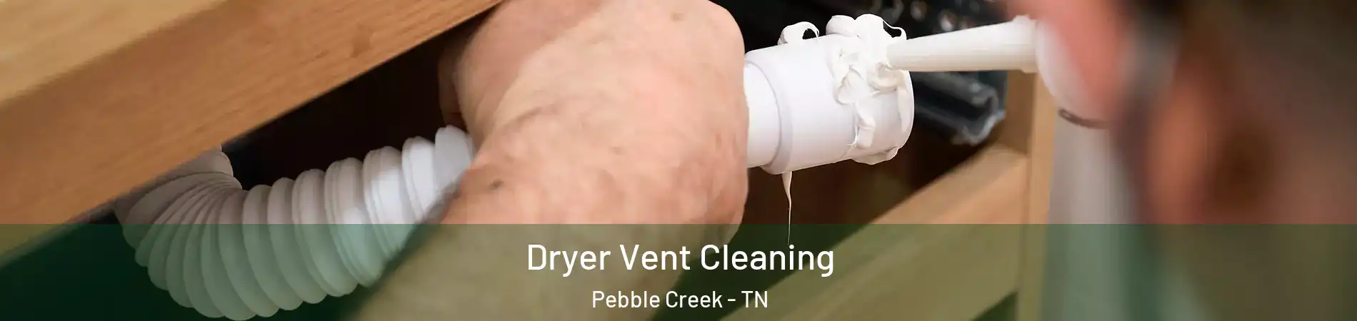 Dryer Vent Cleaning Pebble Creek - TN