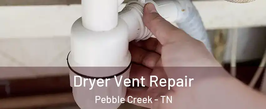 Dryer Vent Repair Pebble Creek - TN