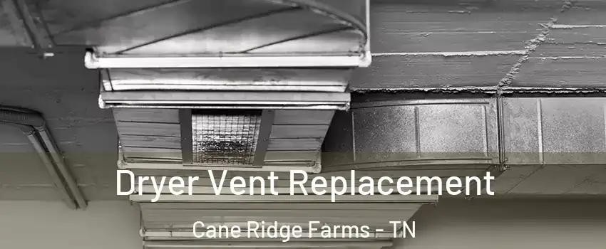 Dryer Vent Replacement Cane Ridge Farms - TN