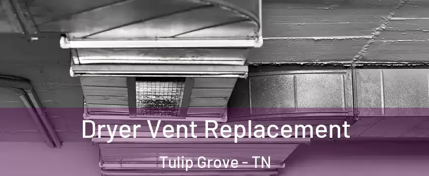 Dryer Vent Replacement Tulip Grove - TN