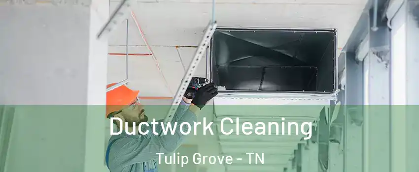 Ductwork Cleaning Tulip Grove - TN