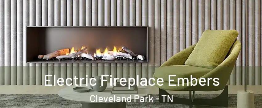 Electric Fireplace Embers Cleveland Park - TN