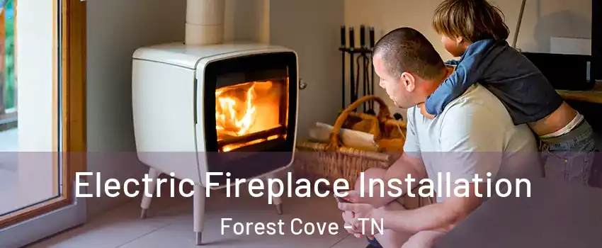 Electric Fireplace Installation Forest Cove - TN