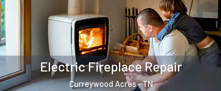 Electric Fireplace Repair Curreywood Acres - TN