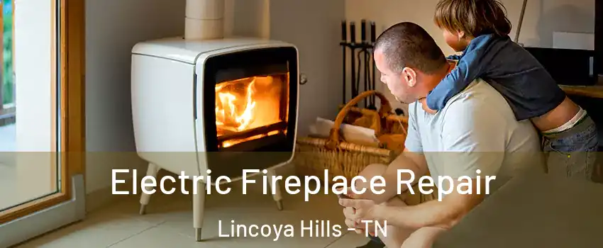 Electric Fireplace Repair Lincoya Hills - TN