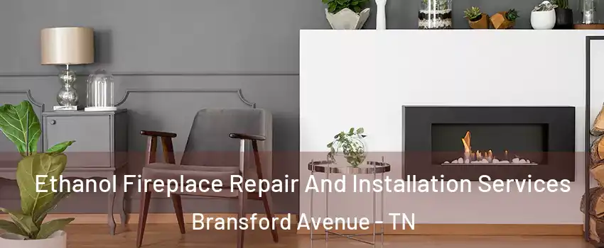 Ethanol Fireplace Repair And Installation Services Bransford Avenue - TN